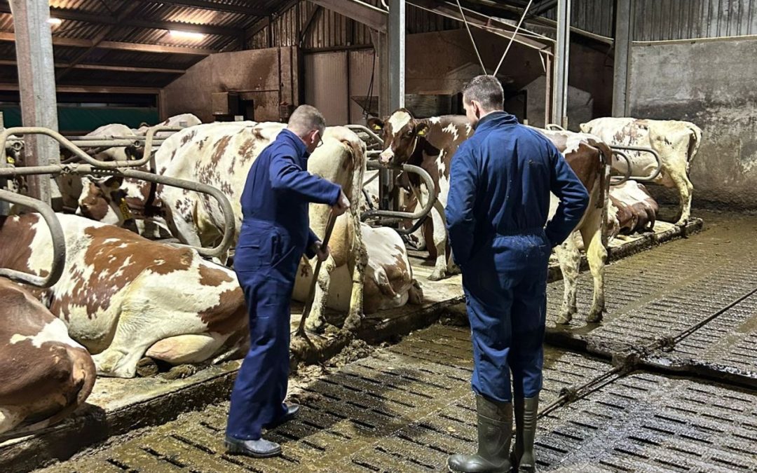 Met de poten in de stront